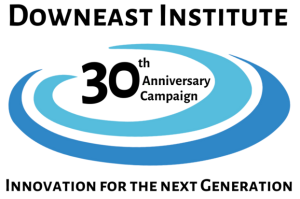 DEI 30th Anniversary Logo